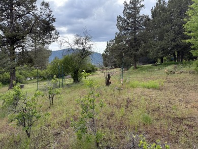 Gorgeous south facing panoramic mountain views from this 0.78 on Running Y Ranch Resort in Oregon - for sale on GolfHomes.com, golf home, golf lot