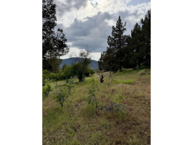 Gorgeous south facing panoramic mountain views from this 0.78 on Running Y Ranch Resort in Oregon - for sale on GolfHomes.com, golf home, golf lot