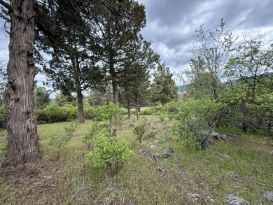 Gorgeous south facing panoramic mountain views from this 0.78 on Running Y Ranch Resort in Oregon - for sale on GolfHomes.com, golf home, golf lot