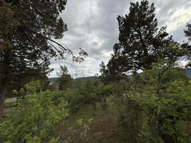 Gorgeous south facing panoramic mountain views from this 0.78 on Running Y Ranch Resort in Oregon - for sale on GolfHomes.com, golf home, golf lot