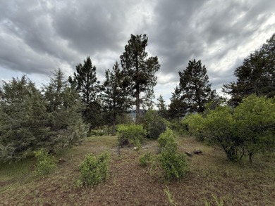 Gorgeous south facing panoramic mountain views from this 0.78 on Running Y Ranch Resort in Oregon - for sale on GolfHomes.com, golf home, golf lot