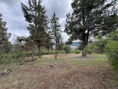 Gorgeous south facing panoramic mountain views from this 0.78 on Running Y Ranch Resort in Oregon - for sale on GolfHomes.com, golf home, golf lot