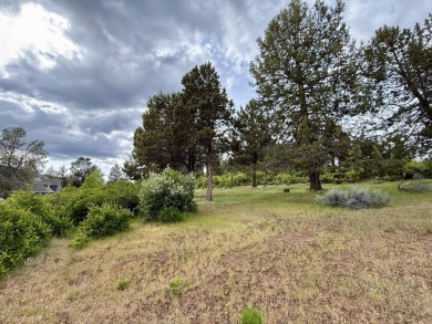 Gorgeous south facing panoramic mountain views from this 0.78 on Running Y Ranch Resort in Oregon - for sale on GolfHomes.com, golf home, golf lot