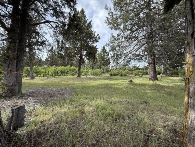 Gorgeous south facing panoramic mountain views from this 0.78 on Running Y Ranch Resort in Oregon - for sale on GolfHomes.com, golf home, golf lot