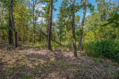 Fantastic location. Gorgeous wooded lot on quiet street close to on Bella Vista Country Club - Scottsdale in Arkansas - for sale on GolfHomes.com, golf home, golf lot