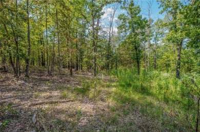 Fantastic location. Gorgeous wooded lot on quiet street close to on Bella Vista Country Club - Scottsdale in Arkansas - for sale on GolfHomes.com, golf home, golf lot