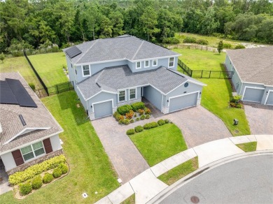 Magnificent NexGen home in need of a new multi-generational on Providence Golf Club in Florida - for sale on GolfHomes.com, golf home, golf lot