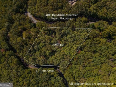 Beautiful opportunity to own a generous lot on Little Hendricks on Bent Tree Golf Course in Georgia - for sale on GolfHomes.com, golf home, golf lot