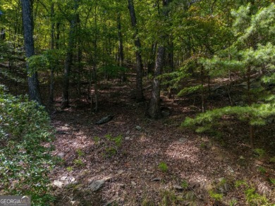 Beautiful opportunity to own a generous lot on Little Hendricks on Bent Tree Golf Course in Georgia - for sale on GolfHomes.com, golf home, golf lot