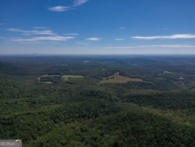 Beautiful opportunity to own a generous lot on Little Hendricks on Bent Tree Golf Course in Georgia - for sale on GolfHomes.com, golf home, golf lot