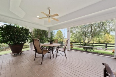 PRIVATE PRESERVE VIEW from this EXPANDED and UPGRADED Designer on Glenview Championship Golf and Country Club in Florida - for sale on GolfHomes.com, golf home, golf lot
