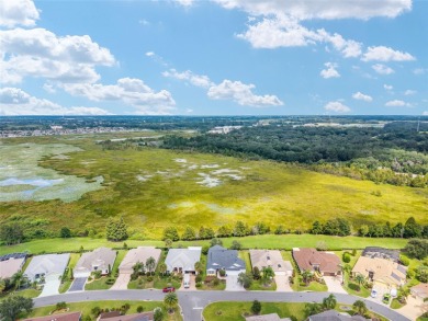 PRIVATE PRESERVE VIEW from this EXPANDED and UPGRADED Designer on Glenview Championship Golf and Country Club in Florida - for sale on GolfHomes.com, golf home, golf lot