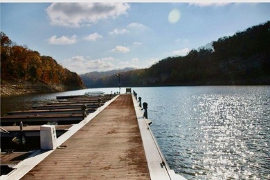 Luxury custom built lake lodge nestled alongside the shore of on Woodson Bend Resort in Kentucky - for sale on GolfHomes.com, golf home, golf lot