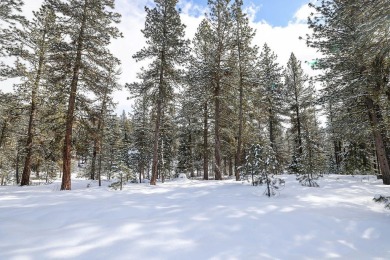 This .3 acre building lot sits perched above the beautiful Jug on Jug Mountain Ranch Golf Course in Idaho - for sale on GolfHomes.com, golf home, golf lot