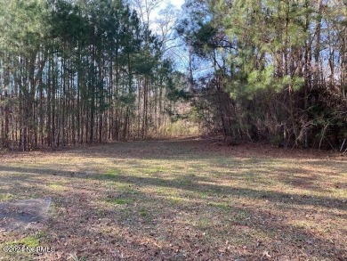Beautiful large lot in Belmont Farms overlooking Tee Box on the on The Golf Club At Rocky Mount in North Carolina - for sale on GolfHomes.com, golf home, golf lot