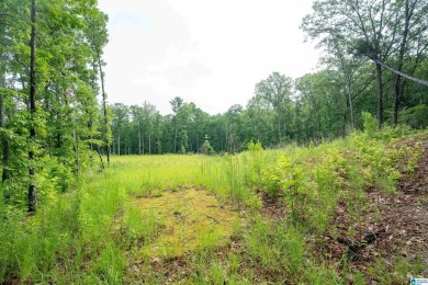 Gorgeous property located in the prestigious Shoal Creek on Shoal Creek Golf Course in Alabama - for sale on GolfHomes.com, golf home, golf lot