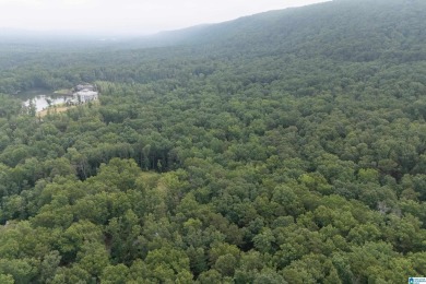 Gorgeous property located in the prestigious Shoal Creek on Shoal Creek Golf Course in Alabama - for sale on GolfHomes.com, golf home, golf lot