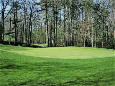 GOLFERS, DOES IT GET ANY BETTER THEN THIS??Prime building lot on on Indian River Golf Club in Michigan - for sale on GolfHomes.com, golf home, golf lot