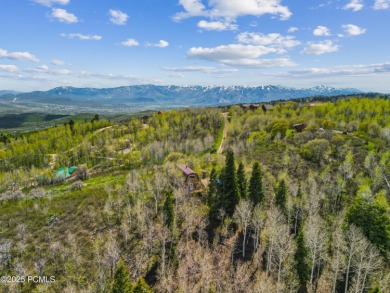 ** $30,000 Buyer Incentive Towards Closing Costs, Rate Buy-Down on  in Utah - for sale on GolfHomes.com, golf home, golf lot