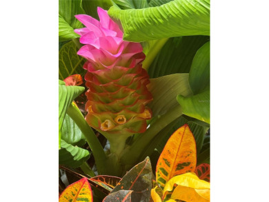 Under contract-accepting backup offers. Seller offering one year on Rotonda Golf and Country Club The Palms Course in Florida - for sale on GolfHomes.com, golf home, golf lot