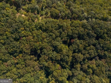 Enjoy breathtaking mountain views on this fantastic lot in the on Bent Tree Golf Course in Georgia - for sale on GolfHomes.com, golf home, golf lot