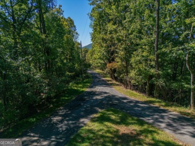 Enjoy breathtaking mountain views on this fantastic lot in the on Bent Tree Golf Course in Georgia - for sale on GolfHomes.com, golf home, golf lot
