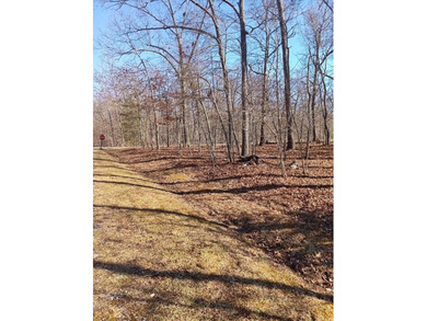 Nice level corner lot available in the desirable Lake Tansi on Lake Tansi Village Country Club in Tennessee - for sale on GolfHomes.com, golf home, golf lot