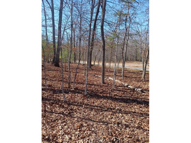 Nice level corner lot available in the desirable Lake Tansi on Lake Tansi Village Country Club in Tennessee - for sale on GolfHomes.com, golf home, golf lot