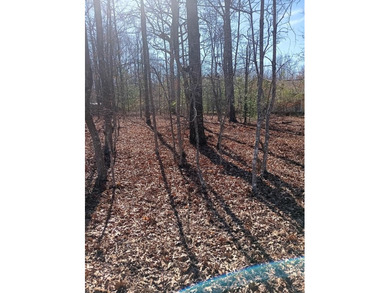 Nice level corner lot available in the desirable Lake Tansi on Lake Tansi Village Country Club in Tennessee - for sale on GolfHomes.com, golf home, golf lot