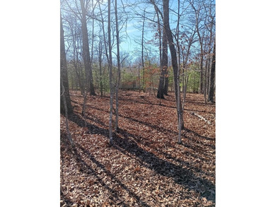 Nice level corner lot available in the desirable Lake Tansi on Lake Tansi Village Country Club in Tennessee - for sale on GolfHomes.com, golf home, golf lot