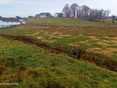 Welcome to one of Tennessee National's most desirable on Tennessee National Golf Club in Tennessee - for sale on GolfHomes.com, golf home, golf lot
