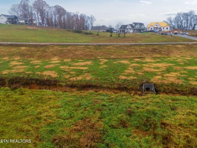 Welcome to one of Tennessee National's most desirable on Tennessee National Golf Club in Tennessee - for sale on GolfHomes.com, golf home, golf lot