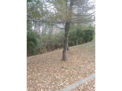 This is a beautiful area to build your dream home. Backs up to a on Southwind Golf Course in Kentucky - for sale on GolfHomes.com, golf home, golf lot