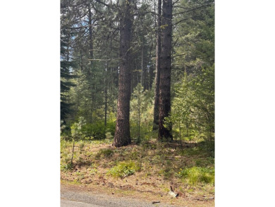 This Meadowcreek treasure spans 0.72 acres and is beautifully on Meadowcreek Golf Resort in Idaho - for sale on GolfHomes.com, golf home, golf lot