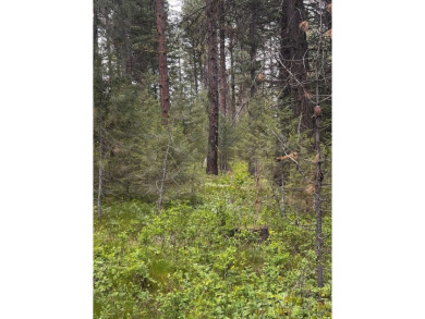 This Meadowcreek treasure spans 0.72 acres and is beautifully on Meadowcreek Golf Resort in Idaho - for sale on GolfHomes.com, golf home, golf lot