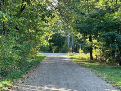 THIS STUNNING 2.77 A. PARCEL IS 15 MIN. FROM THE RENOWNED CUYUNA on Ruttgers Bay Lake Lodge Golf Club in Minnesota - for sale on GolfHomes.com, golf home, golf lot