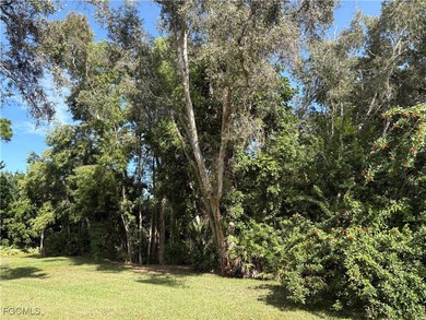 Stunning, Move-In Ready 1st floor Condo in the Heart of Estero! on Fountain Lakes Community Golf Course in Florida - for sale on GolfHomes.com, golf home, golf lot