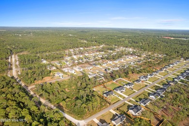 Introducing the Vineyard by Logan Homes - Now Available in The on The Lakes Country Club in North Carolina - for sale on GolfHomes.com, golf home, golf lot