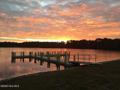 Introducing the Vineyard by Logan Homes - Now Available in The on The Lakes Country Club in North Carolina - for sale on GolfHomes.com, golf home, golf lot