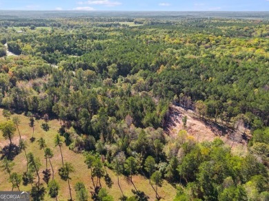 Beautiful 16-acre lot located in Northern Chambers County within on Riverside Country Club in Alabama - for sale on GolfHomes.com, golf home, golf lot