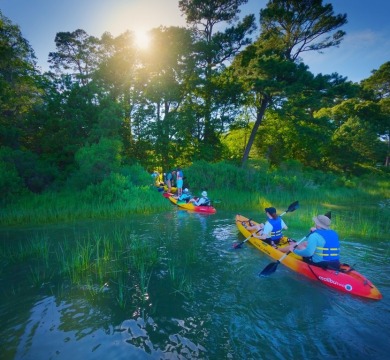 $25K CREDIT AT CLOSING TOWARD THE SPORTS MEMBERSHIP JOINING FEE! on Bay Creek Golf Club in Virginia - for sale on GolfHomes.com, golf home, golf lot