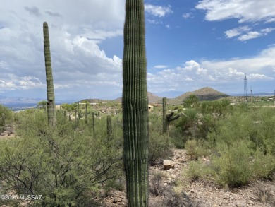 Perched high above the prestigious Starr Pass resort community on Starr Pass Golf Club in Arizona - for sale on GolfHomes.com, golf home, golf lot