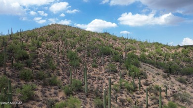 Perched high above the prestigious Starr Pass resort community on Starr Pass Golf Club in Arizona - for sale on GolfHomes.com, golf home, golf lot