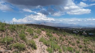 Perched high above the prestigious Starr Pass resort community on Starr Pass Golf Club in Arizona - for sale on GolfHomes.com, golf home, golf lot