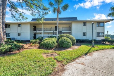 Welcome to this beautiful,  designer  renovated  first floor on Saddlebrook Golf and Country Club in Florida - for sale on GolfHomes.com, golf home, golf lot