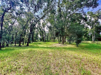 Build your private estate on 1.2 acres in the rolling hills of on Lake Jovita Golf and Country Club in Florida - for sale on GolfHomes.com, golf home, golf lot