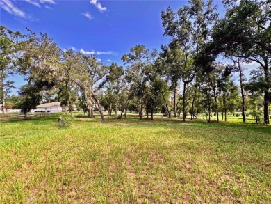 Build your private estate on 1.2 acres in the rolling hills of on Lake Jovita Golf and Country Club in Florida - for sale on GolfHomes.com, golf home, golf lot