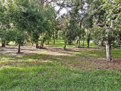 Build your private estate on 1.2 acres in the rolling hills of on Lake Jovita Golf and Country Club in Florida - for sale on GolfHomes.com, golf home, golf lot