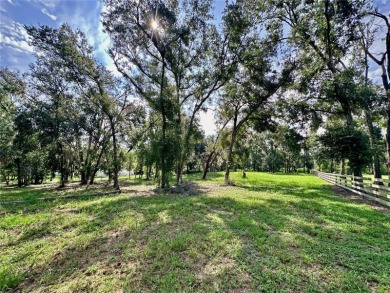 Build your private estate on 1.2 acres in the rolling hills of on Lake Jovita Golf and Country Club in Florida - for sale on GolfHomes.com, golf home, golf lot