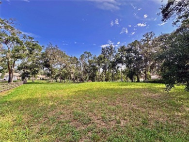 Build your private estate on 1.2 acres in the rolling hills of on Lake Jovita Golf and Country Club in Florida - for sale on GolfHomes.com, golf home, golf lot